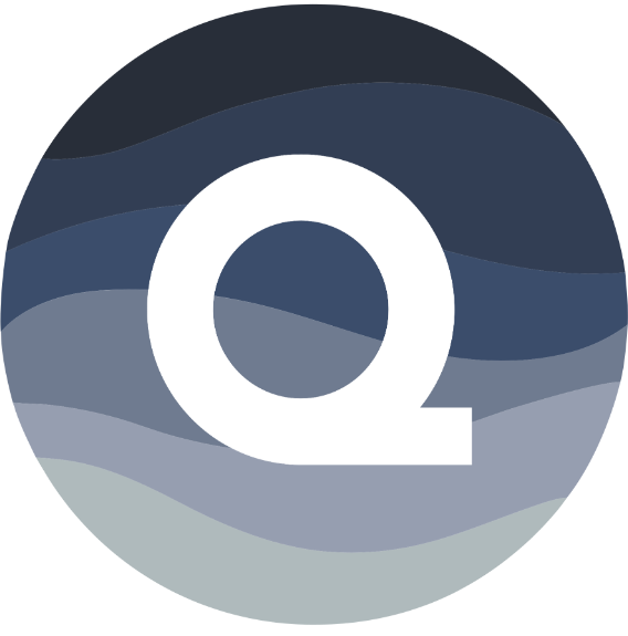 QUEISE Logo
